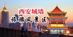和美女操逼网站中国陕西-西安城墙旅游风景区