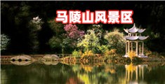 美女黄色靠逼图片