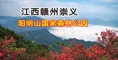 插插看看